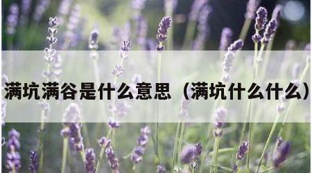满坑满谷是什么意思（满坑什么什么）