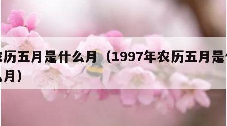 农历五月是什么月（1997年农历五月是什么月）
