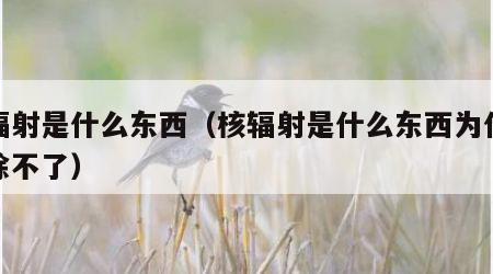 核辐射是什么东西（核辐射是什么东西为什么消除不了）