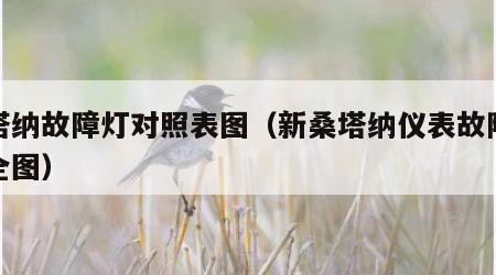新塔纳故障灯对照表图（新桑塔纳仪表故障灯大全图）