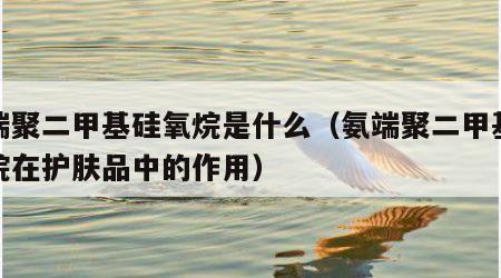 氨端聚二甲基硅氧烷是什么（氨端聚二甲基硅氧烷在护肤品中的作用）