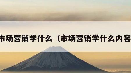 市场营销学什么（市场营销学什么内容）