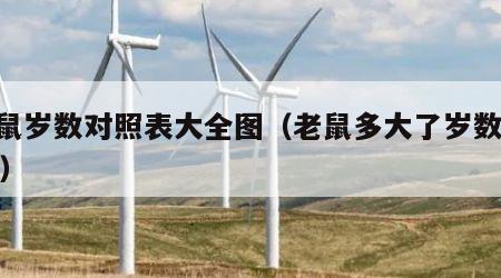 老鼠岁数对照表大全图（老鼠多大了岁数2021）