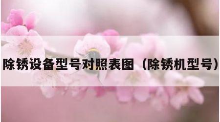 除锈设备型号对照表图（除锈机型号）