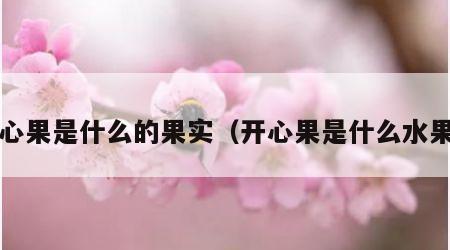 开心果是什么的果实（开心果是什么水果?）