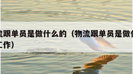 物流跟单员是做什么的（物流跟单员是做什么的工作）
