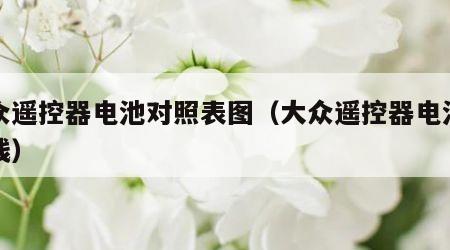 大众遥控器电池对照表图（大众遥控器电池多少钱）
