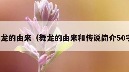 舞龙的由来（舞龙的由来和传说简介50字）