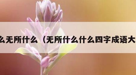什么无所什么（无所什么什么四字成语大全）
