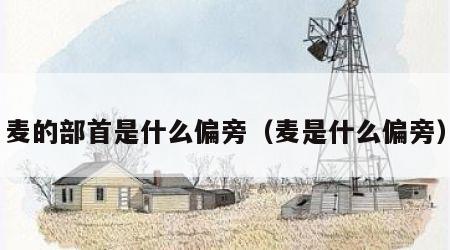 麦的部首是什么偏旁（麦是什么偏旁）