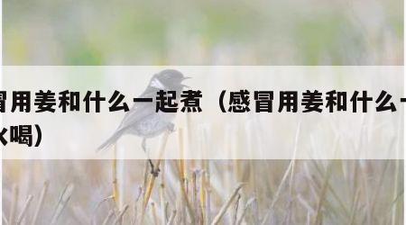 感冒用姜和什么一起煮（感冒用姜和什么一起煮水喝）
