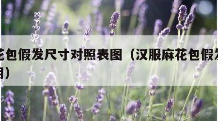 麻花包假发尺寸对照表图（汉服麻花包假发怎么用）