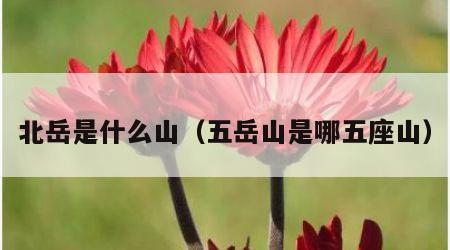 北岳是什么山（五岳山是哪五座山）