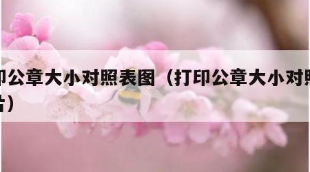打印公章大小对照表图（打印公章大小对照表图片）