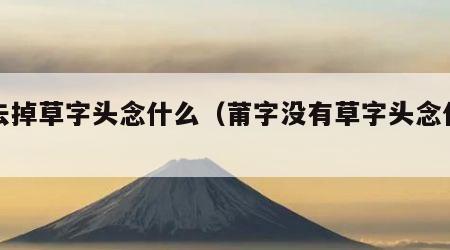 莆去掉草字头念什么（莆字没有草字头念什么）