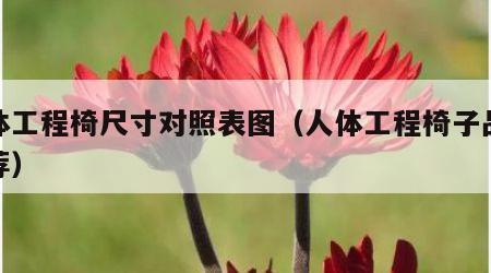 人体工程椅尺寸对照表图（人体工程椅子品牌推荐）
