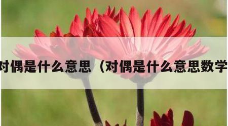 对偶是什么意思（对偶是什么意思数学）
