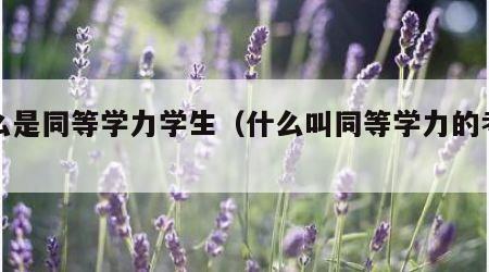 什么是同等学力学生（什么叫同等学力的考生）