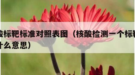 核酸标靶标准对照表图（核酸检测一个标靶阳性什么意思）