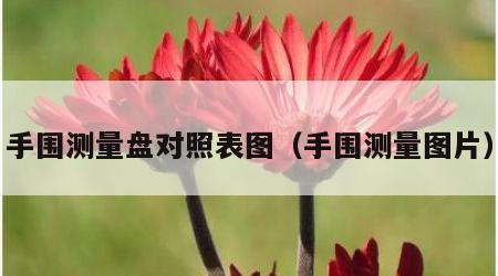 手围测量盘对照表图（手围测量图片）