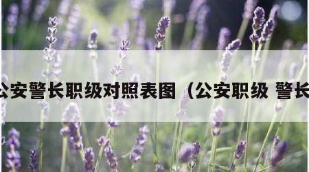 公安警长职级对照表图（公安职级 警长）