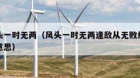 风头一时无两（风头一时无两逢敌从无败绩什么意思）