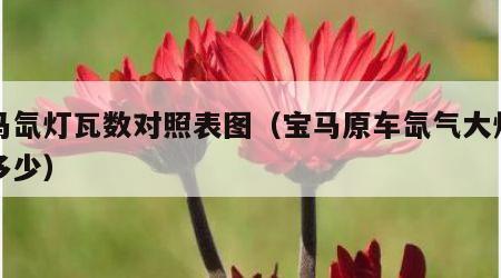 宝马氙灯瓦数对照表图（宝马原车氙气大灯色温多少）