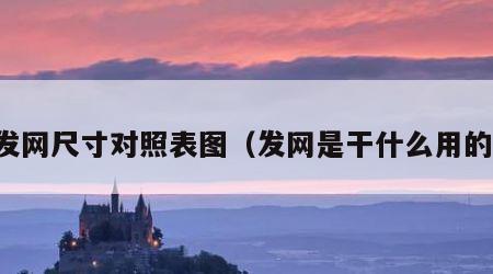 发网尺寸对照表图（发网是干什么用的）