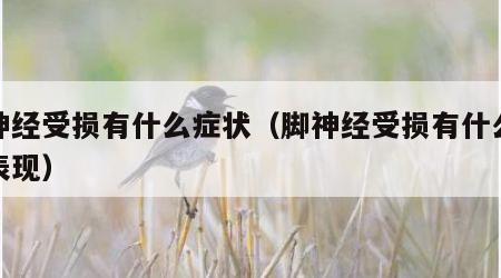 脚神经受损有什么症状（脚神经受损有什么症状表现）