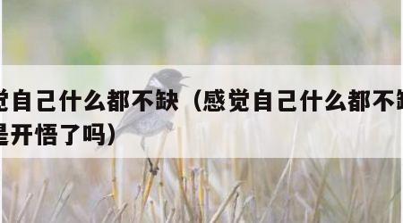 感觉自己什么都不缺（感觉自己什么都不缺的人是开悟了吗）