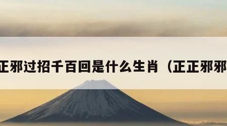 正邪过招千百回是什么生肖（正正邪邪）