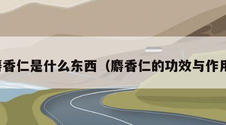 麝香仁是什么东西（麝香仁的功效与作用）