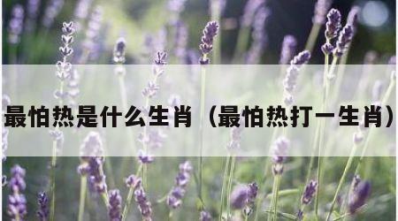 最怕热是什么生肖（最怕热打一生肖）