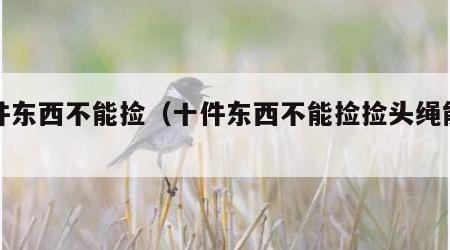 十件东西不能捡（十件东西不能捡捡头绳能带吗）