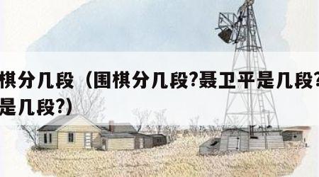 围棋分几段（围棋分几段?聂卫平是几段?常昊是几段?）
