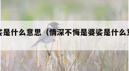 婆娑是什么意思（情深不悔是婆娑是什么意思）