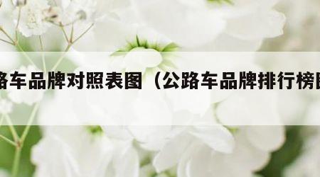 公路车品牌对照表图（公路车品牌排行榜图片）