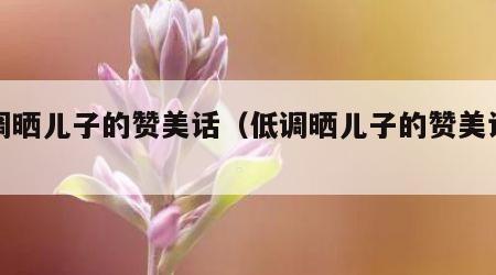 低调晒儿子的赞美话（低调晒儿子的赞美话语）