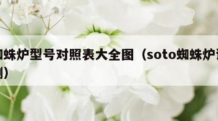 蜘蛛炉型号对照表大全图（soto蜘蛛炉评测）