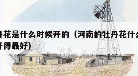牡丹花是什么时候开的（河南的牡丹花什么时候开得最好）