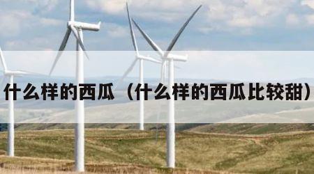 什么样的西瓜（什么样的西瓜比较甜）