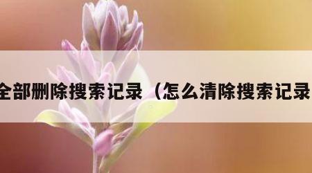 全部删除搜索记录（怎么清除搜索记录）