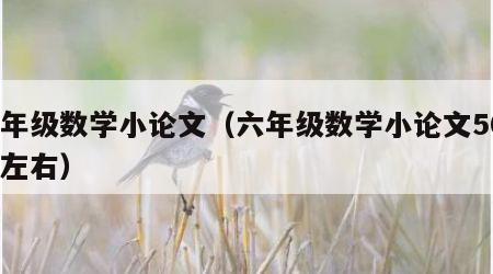 六年级数学小论文（六年级数学小论文500字左右）