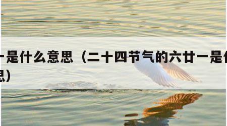 廿一是什么意思（二十四节气的六廿一是什么意思）