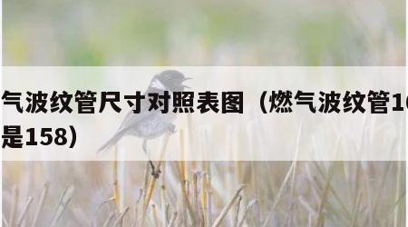 燃气波纹管尺寸对照表图（燃气波纹管168还是158）