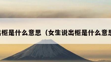 出柜是什么意思（女生说出柜是什么意思）