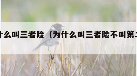 为什么叫三者险（为什么叫三者险不叫第二者）