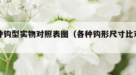 各种钩型实物对照表图（各种钩形尺寸比对图）