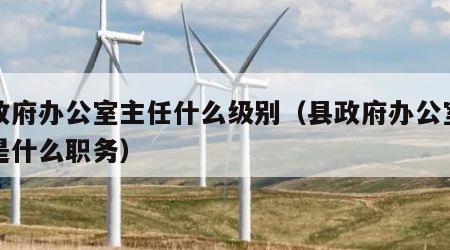 县政府办公室主任什么级别（县政府办公室主任是什么职务）