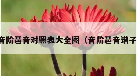 音阶琶音对照表大全图（音阶琶音谱子）